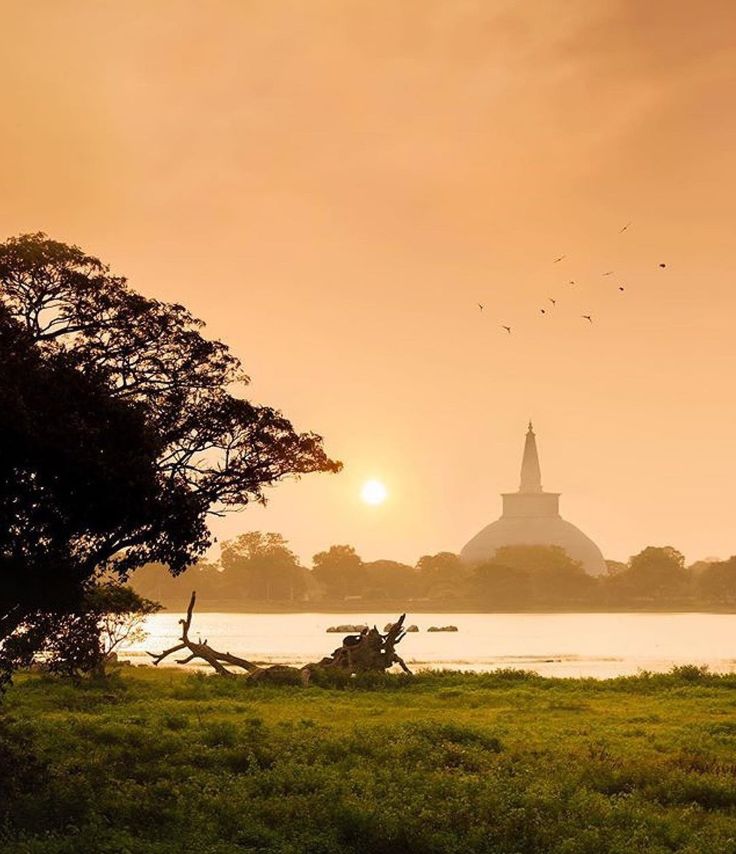 Anuradhapura